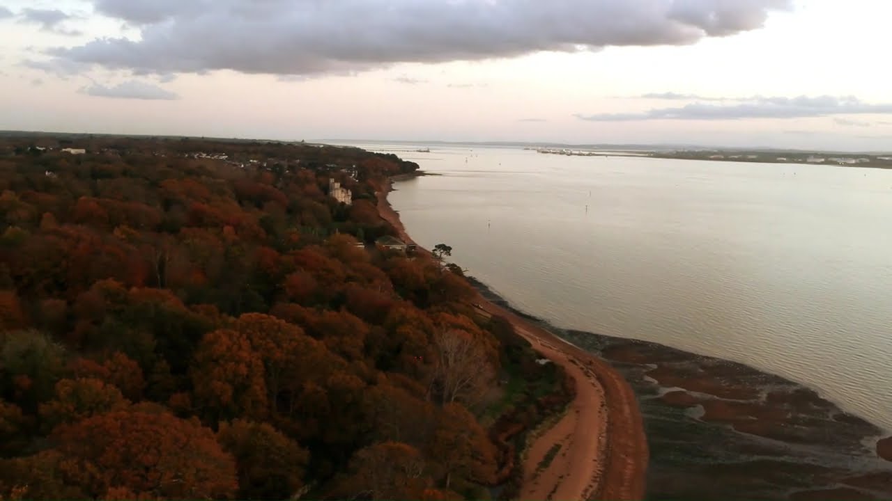 Colour of autumn at shoreline Southampton SO19