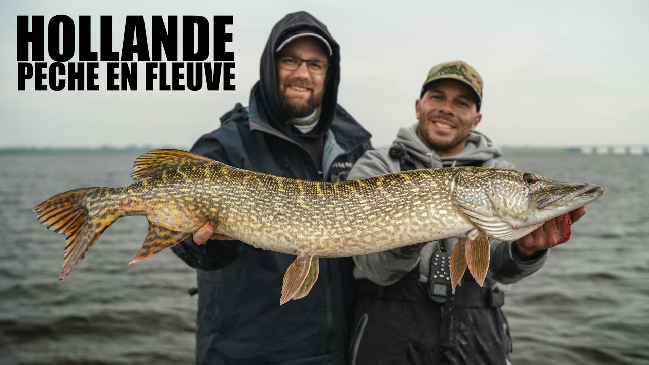 Belle pêche en fleuve, les leurres Wolfcreek font la différence.
