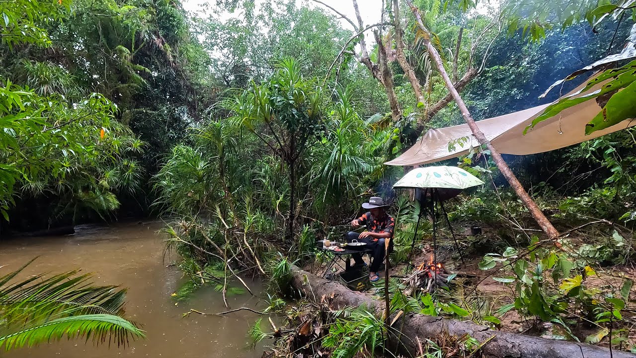 Solo Camping by the Stream - Relaxing with Outdoor Cooking