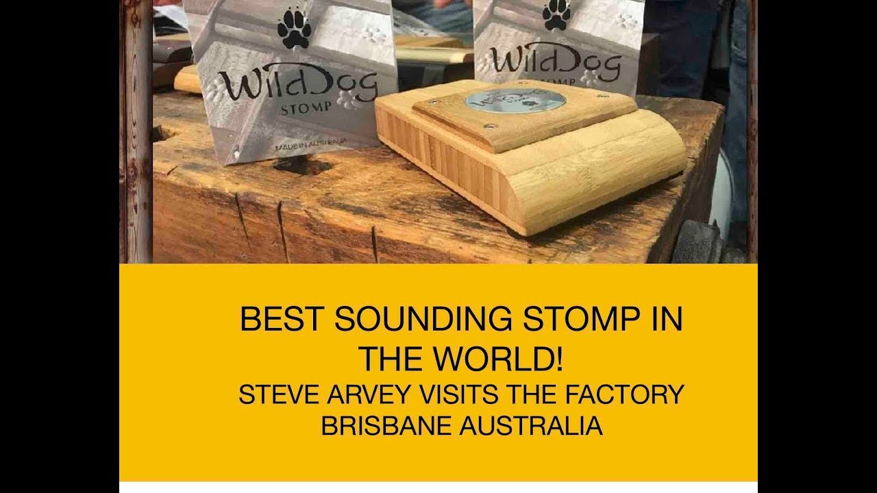 Change Your Acoustic Shows! Steve Arvey Loves The Wild Dog Stomp!!