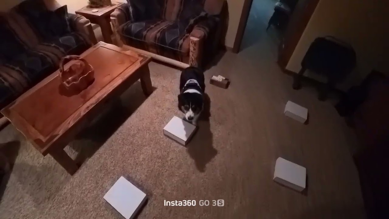 Carly - Containers Day 1 - 2/9/26