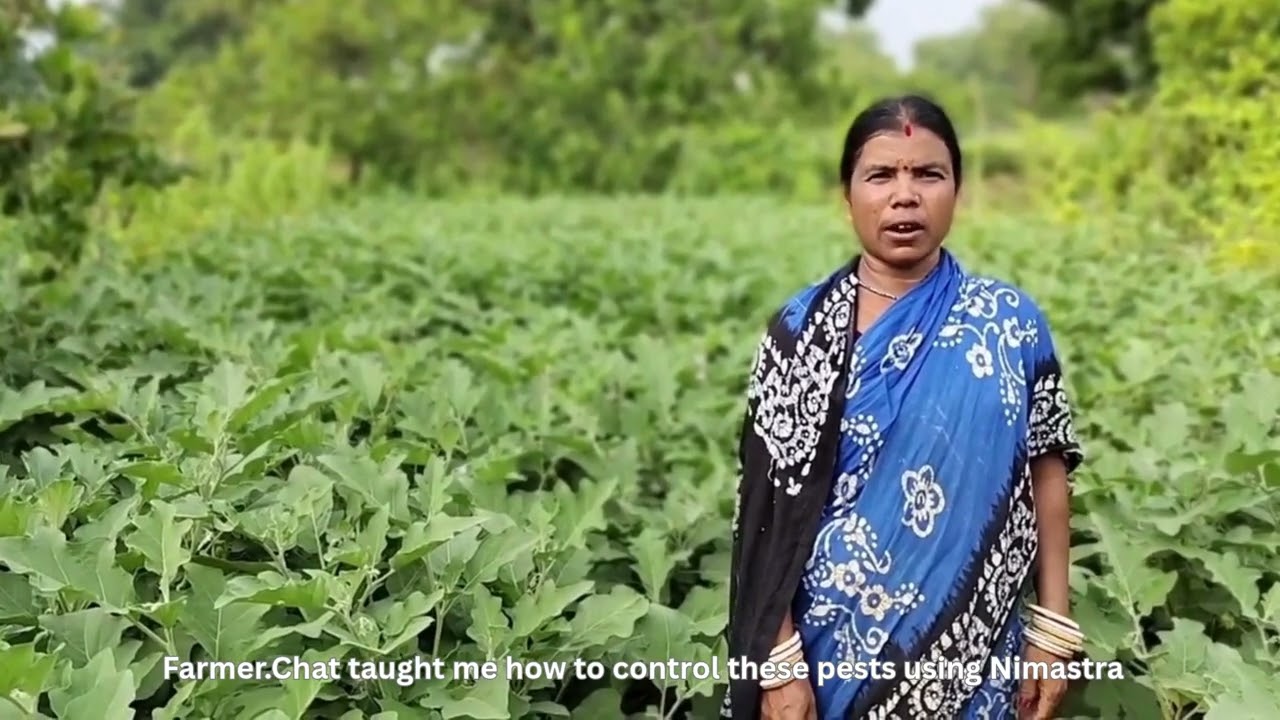 Women Leading Farms with Farmer.Chat Advisory