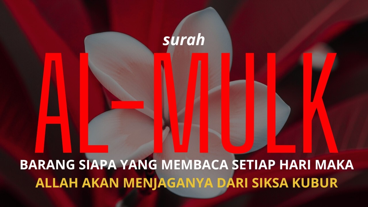 🔥 Surah Al-Mulk | Penjaga Malam, Pelindung Alam Kubur 🌙Dzikir Malam