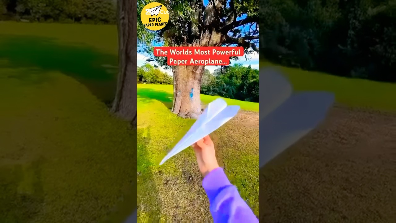 🔥 Paper Airplane Hits Tree and Starts Smoking!#paperairplane #crazyexperiment #smokingplane
