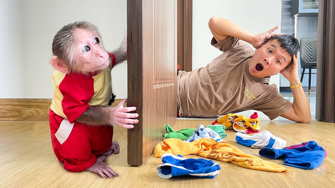 So funny🤣🐒 Cubis runs away from Dad after causing trouble!