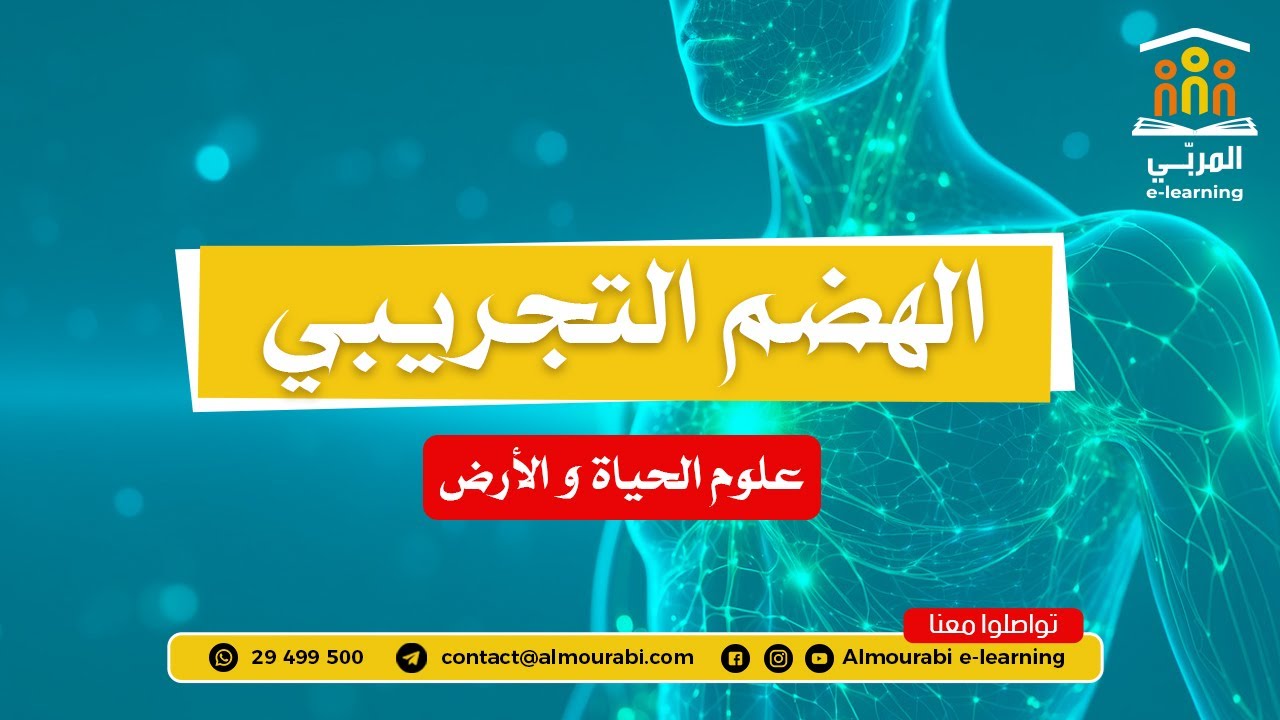 تاسعة أساسي : علوم الحياة والأرض - تمرين حول الهضم التجريبي | شرح بسيط