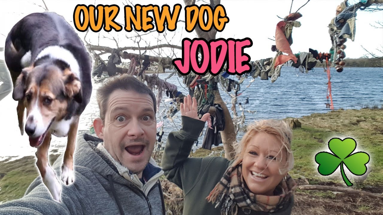 We Got A Travel Trolls Dog Called Jodie...And Lost It!