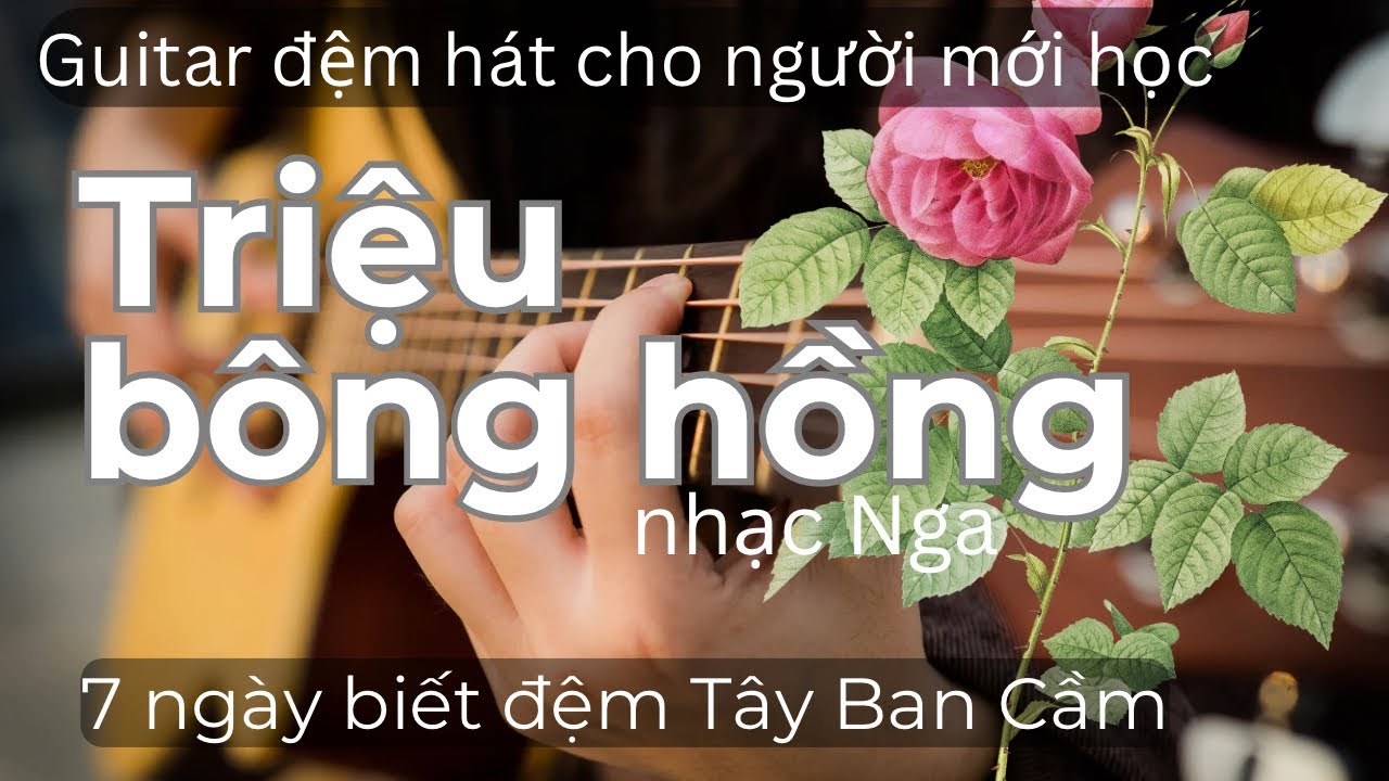 HD Guitar đệm hát vỡ lòng:- Triệu Bông Hồng- nhạc Nga.