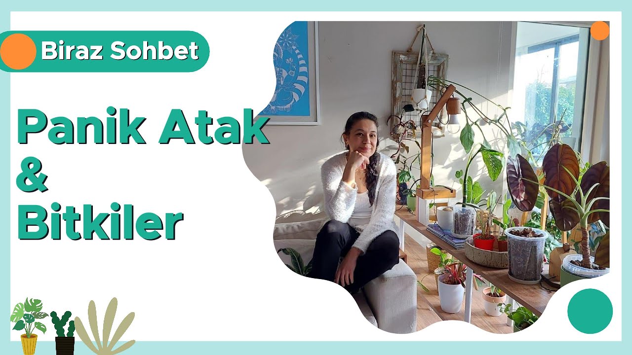 Panik Atak Yolculuğum ve Minnoş Jungle'ın Kuruluş Hikayesi...
