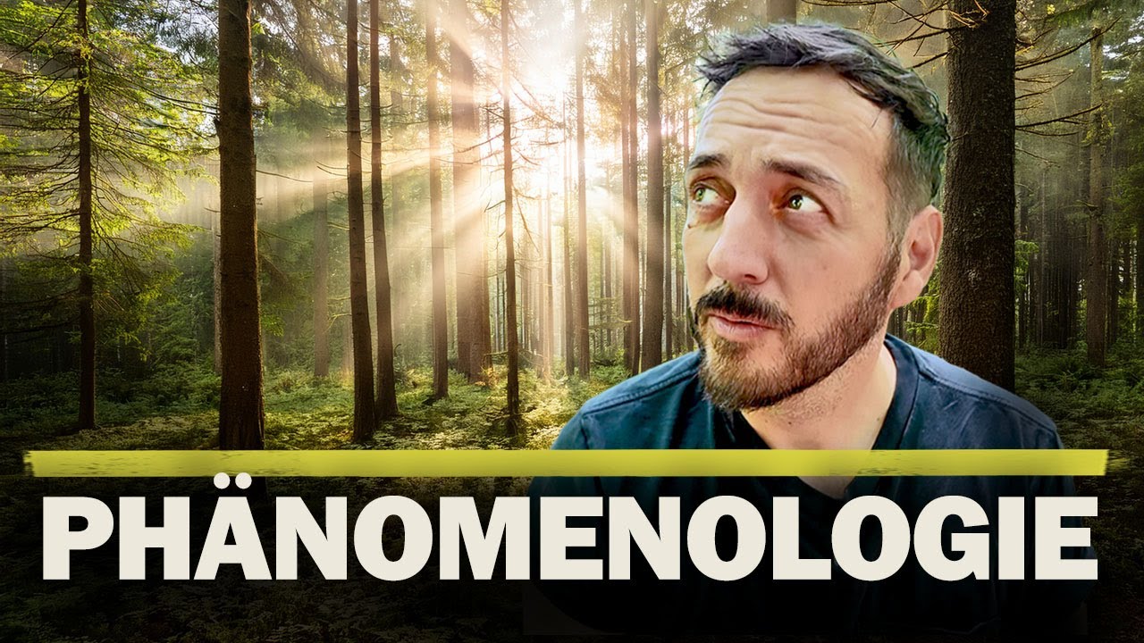 Ph&auml;nomenologie erkl&auml;rt - Wie du die Welt wirklich wahrnimmst