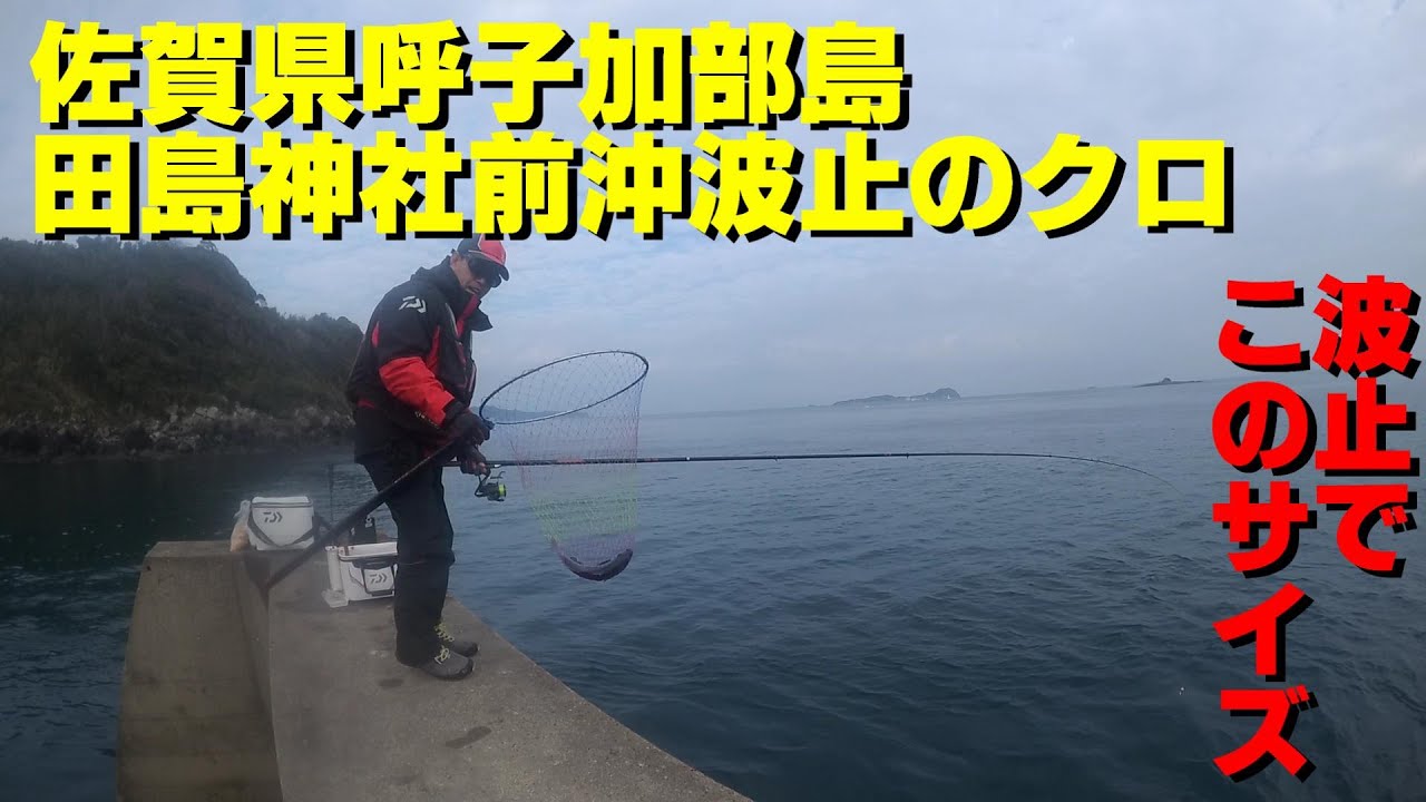 佐賀県唐津市呼子　加部島　田島神社前沖波止でクロ狙い！　#呼子加部島 #ニュー幸丸 ＃クロ釣り #葉隠太公望
