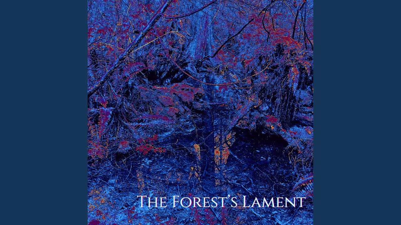 The Forest's Lament