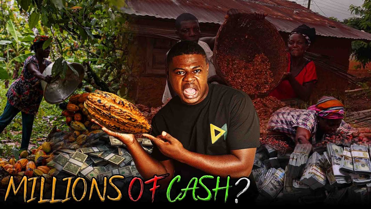 How Africans Make Millions from Cocoa