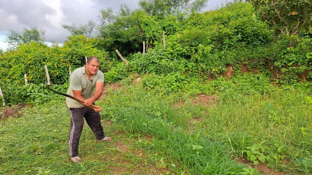 TRABALHANDO SOZINHO EM UM LUGAR ISOLADO