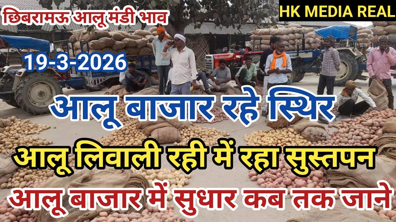 19- मार्च-2026- आलू बाजार रहे स्थिर/ आलू लिवाली में रहा सुस्तपन/आलू बाजार में सुधार कब तक होगा जाने