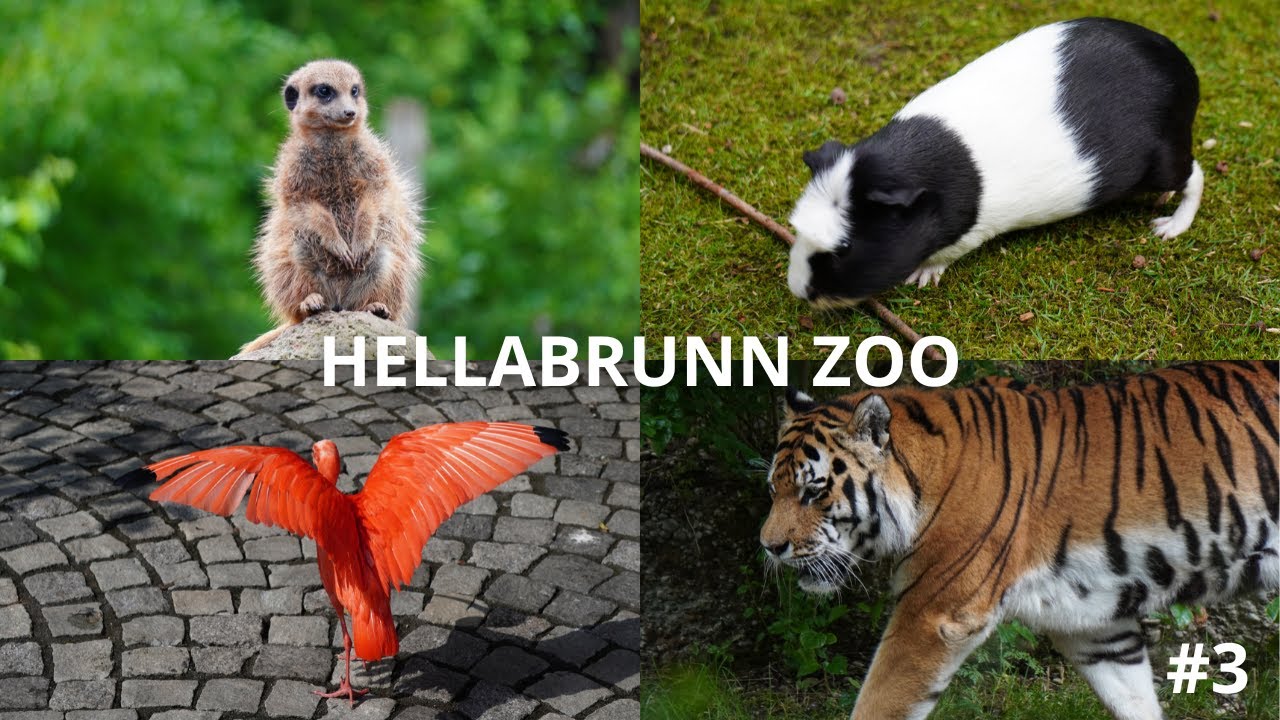 Il primo GEOZOO al MONDO | HELLABRUNN ZOO MÜNCHEN 4K [3/3]