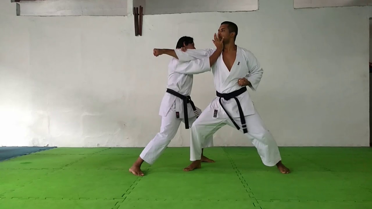 The 9 Throws of Funakoshi Byobu daoshi primeira queda do karate Shotokan, por Kleber santos