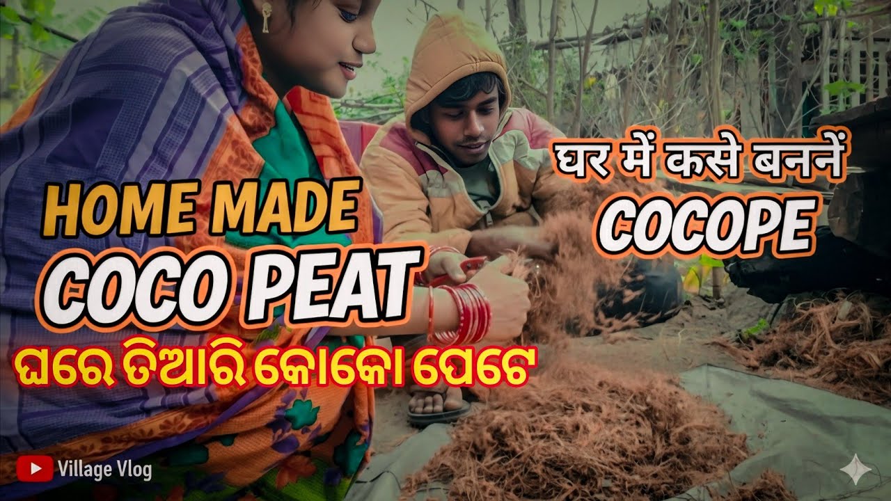 ଘରେ କିପରି ବନେଇବ କୋକୋ ପିଟ୍| Coco Peat Making Odia Vlog #CocoPeatOdia#odiavlog #vlog @alok_khusivlog 