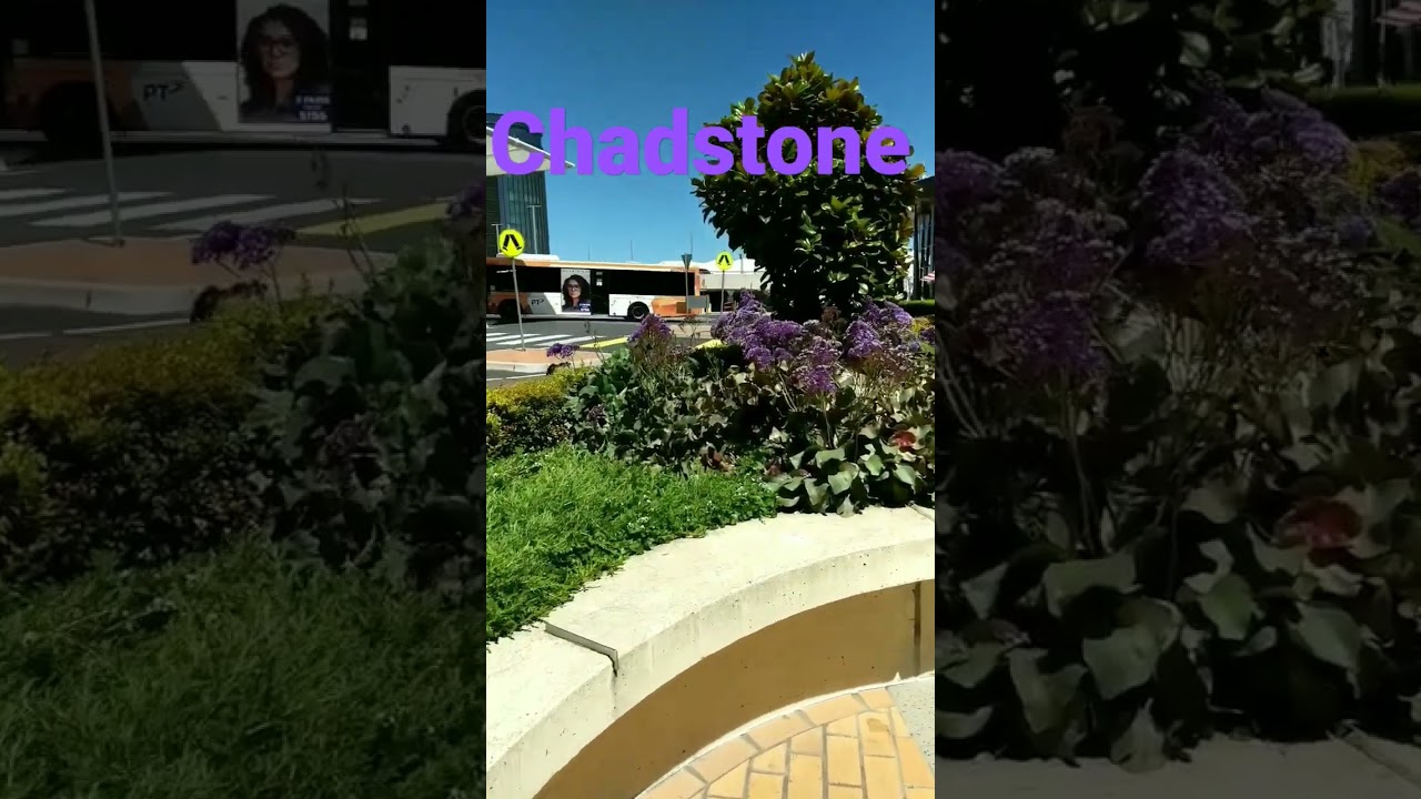 Chadstone (Chaddy) Shopping Centre - Biggest in Melbourne