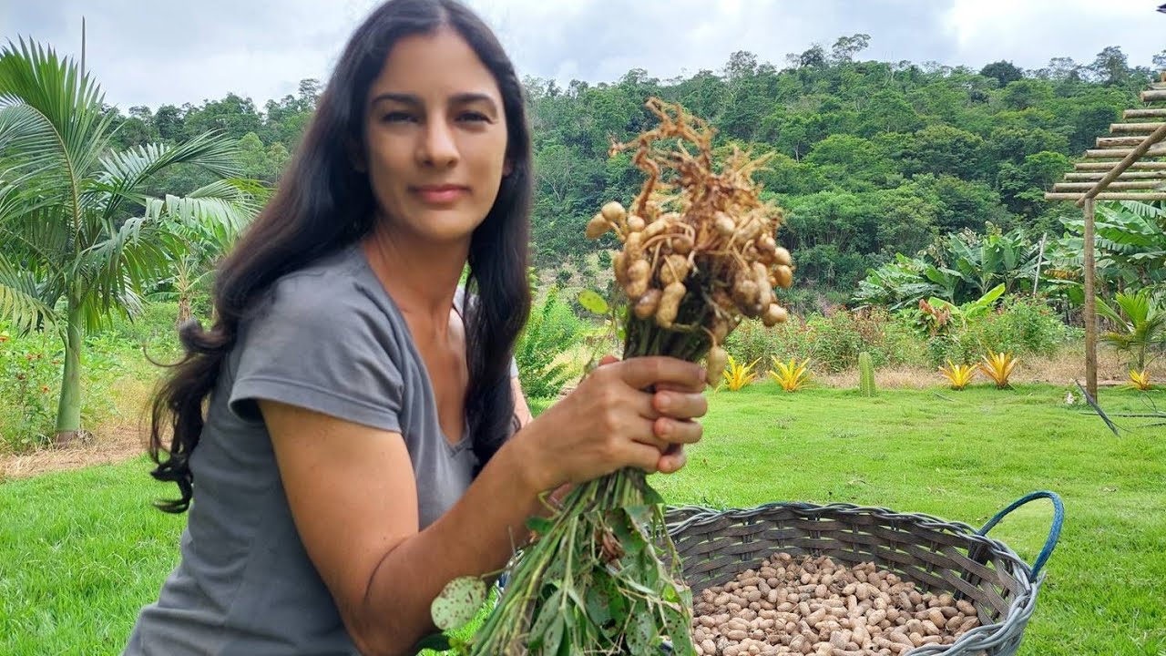 Festa feita com os produtos da nossa Terra