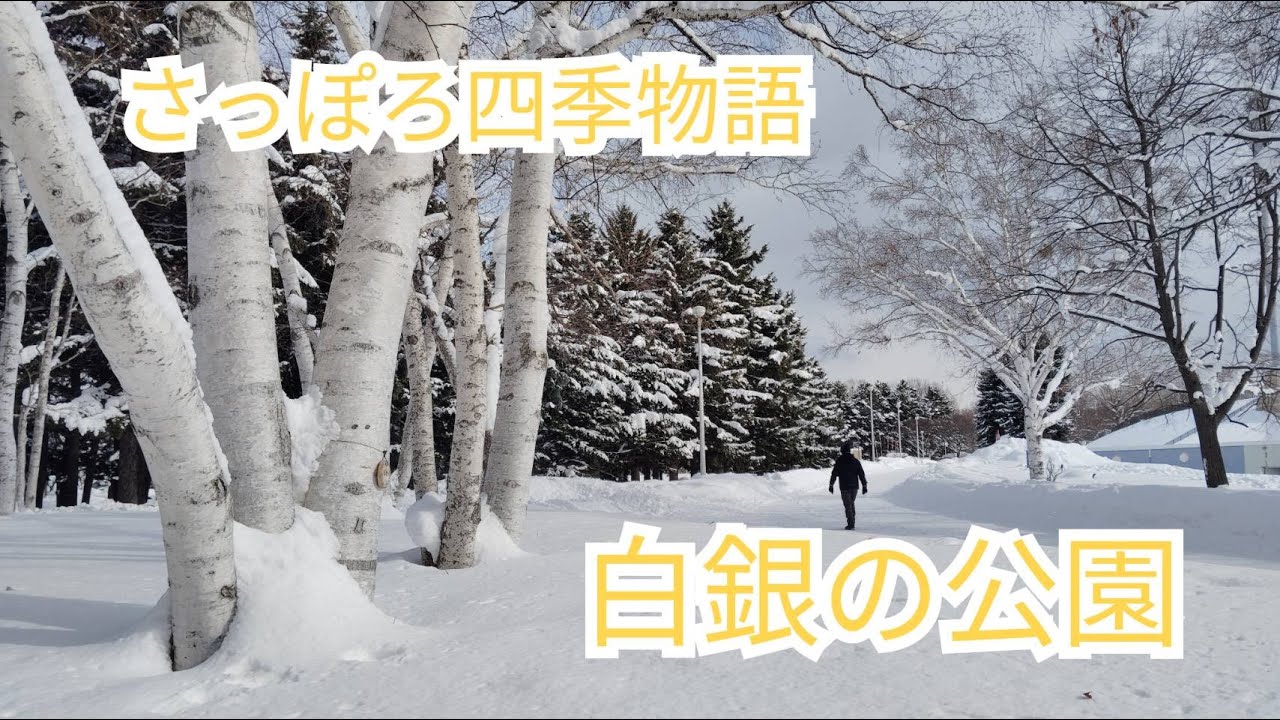 白銀の公園 さっぽろ四季物語