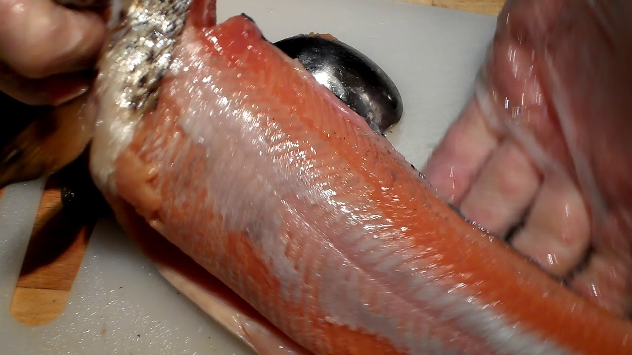 Rensing/filitering av rakfisk