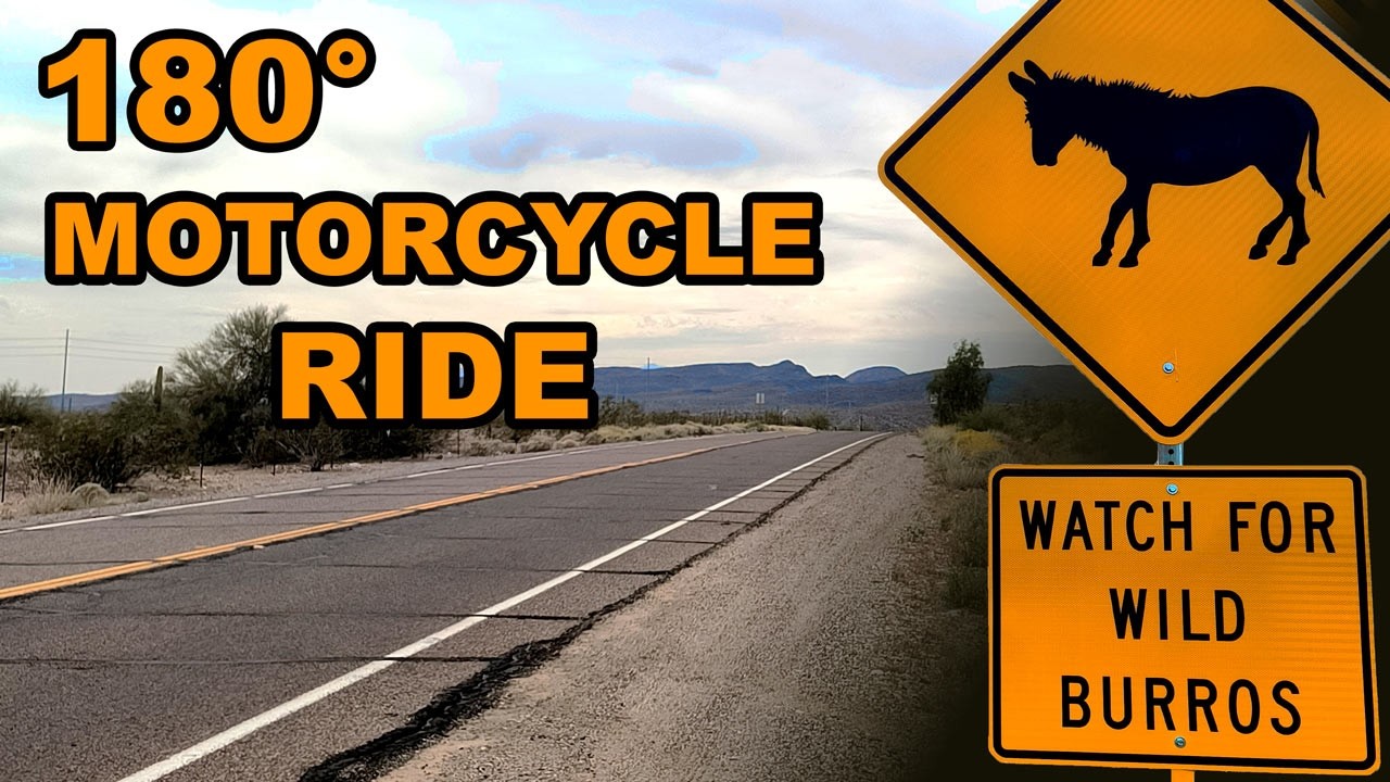 180° Motorcycle Ride with DONKEYS! | Lake Pleasant Arizona | Synthwave/Rock Mix