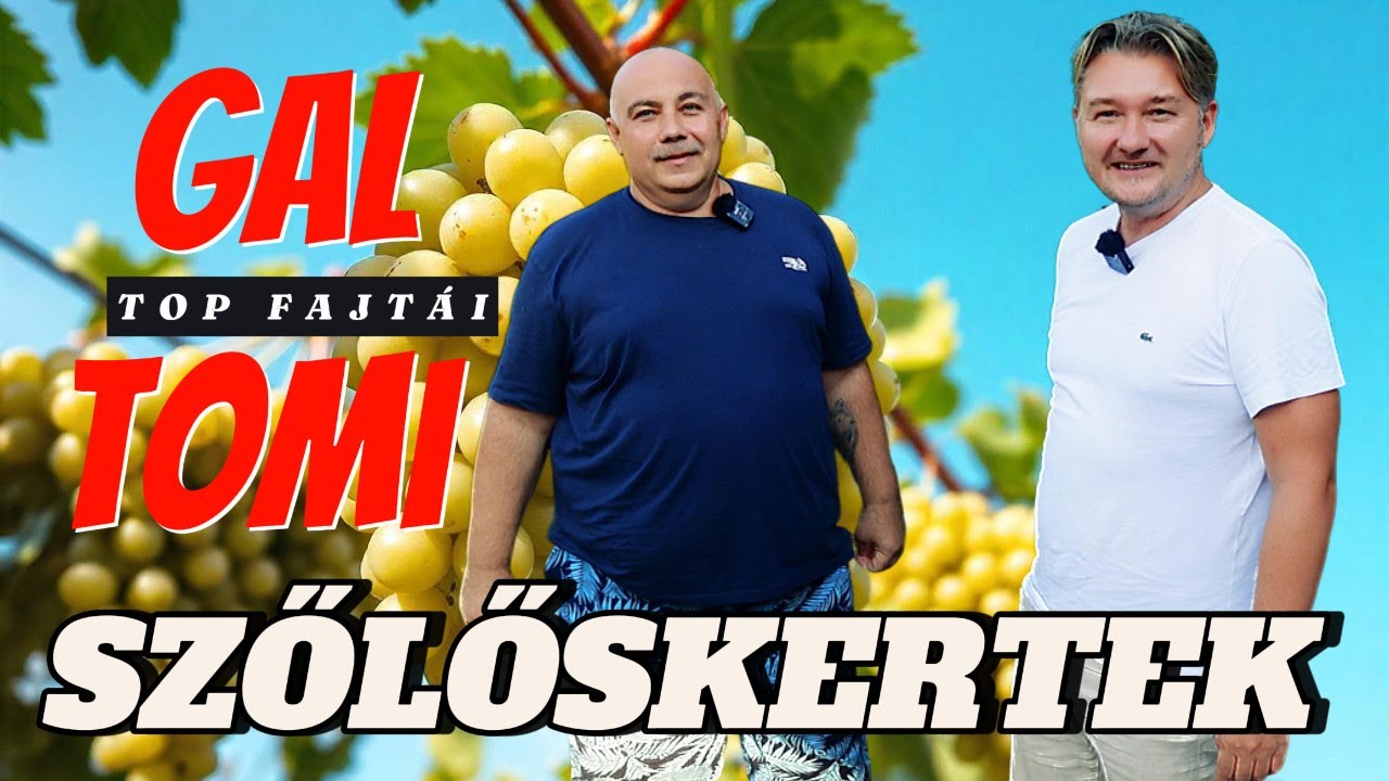 🍇 SZŐLŐSKERTEK 2./21.rész ► Fülek ► Gál Tomi Bemutatja a TOP Fajtákat!