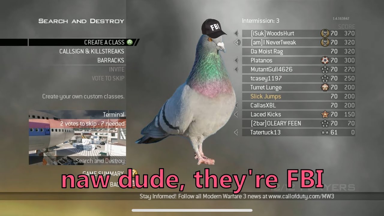 2 guys debate if pigeons are real