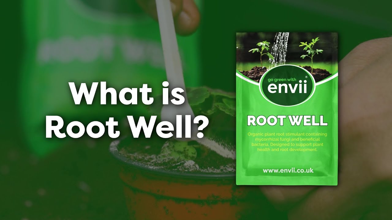What is Root Well?