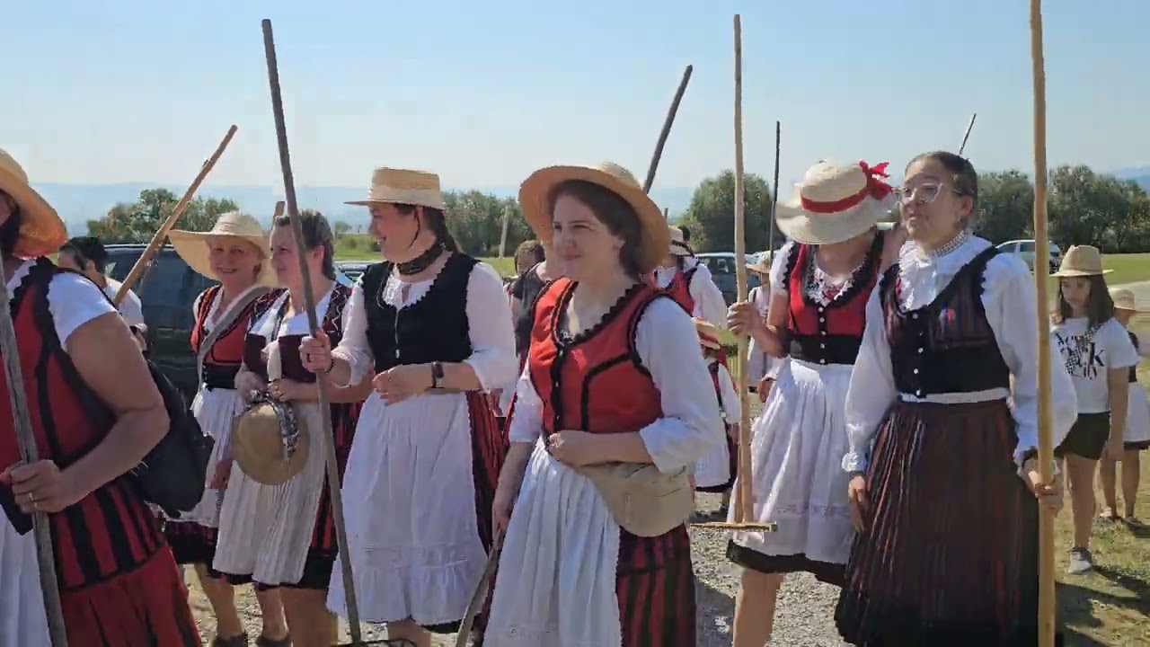 Kaszáló kaláka Csíkszentkirály 2024