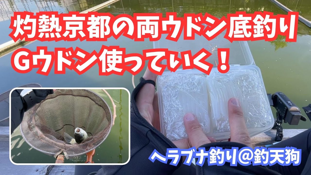 【ヘラブナ釣り】灼熱のGウドンの底釣り【釣天狗】