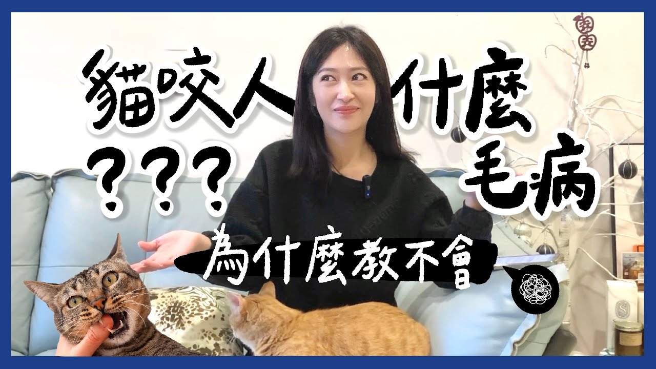 貓咬人什麼毛病？為什麼教不會