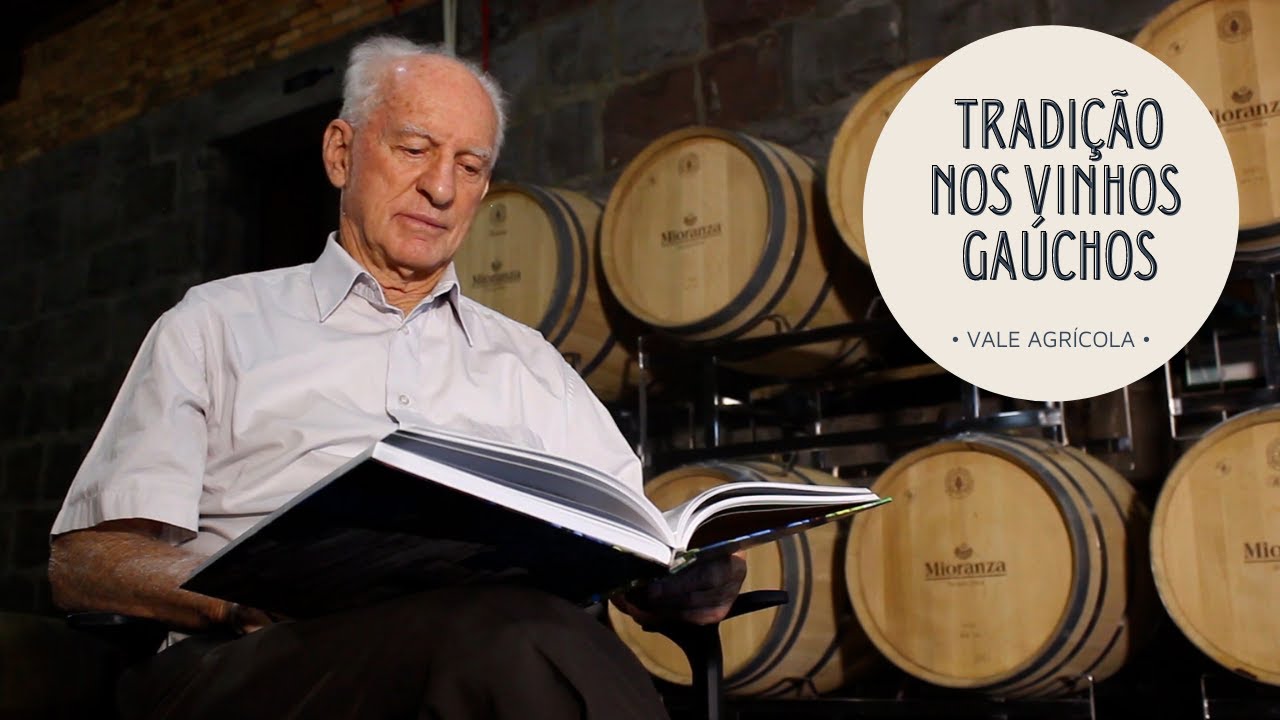 HISTÓRIA E TRADIÇÃO NOS VINHOS DA SERRA GAÚCHA!