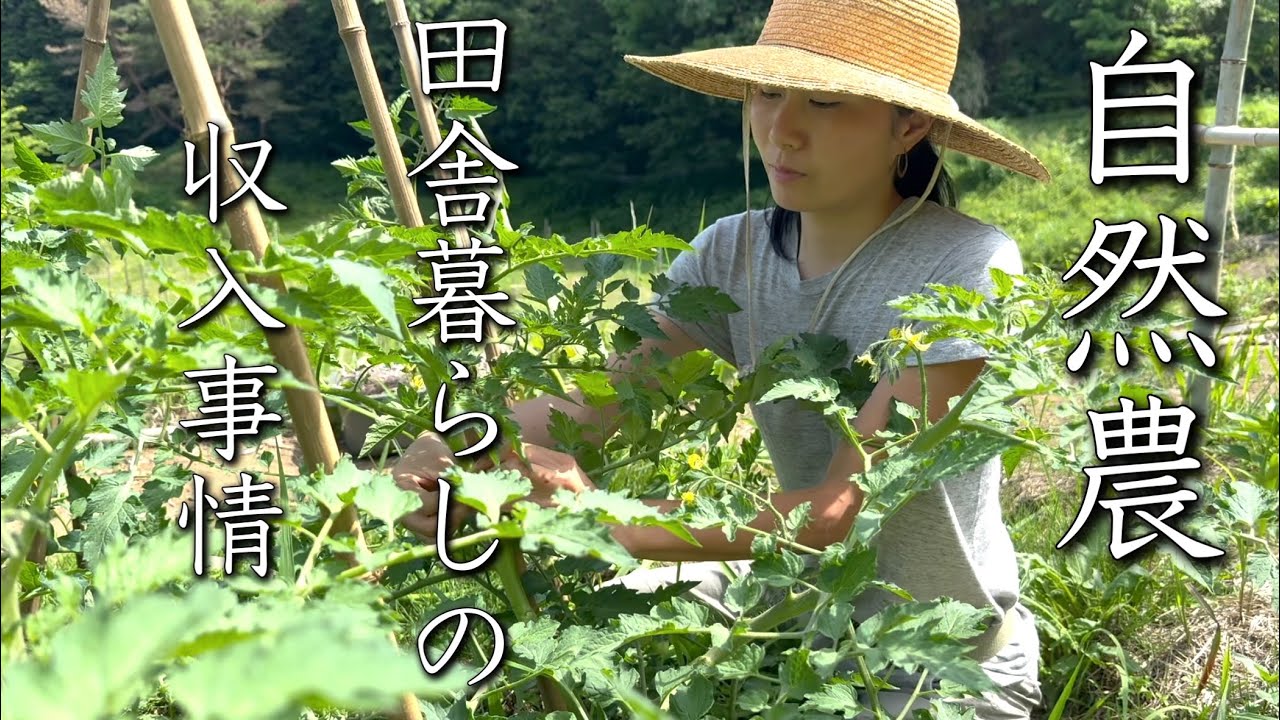 【自然農と田舎暮らし】収入を得る方法は？私の場合