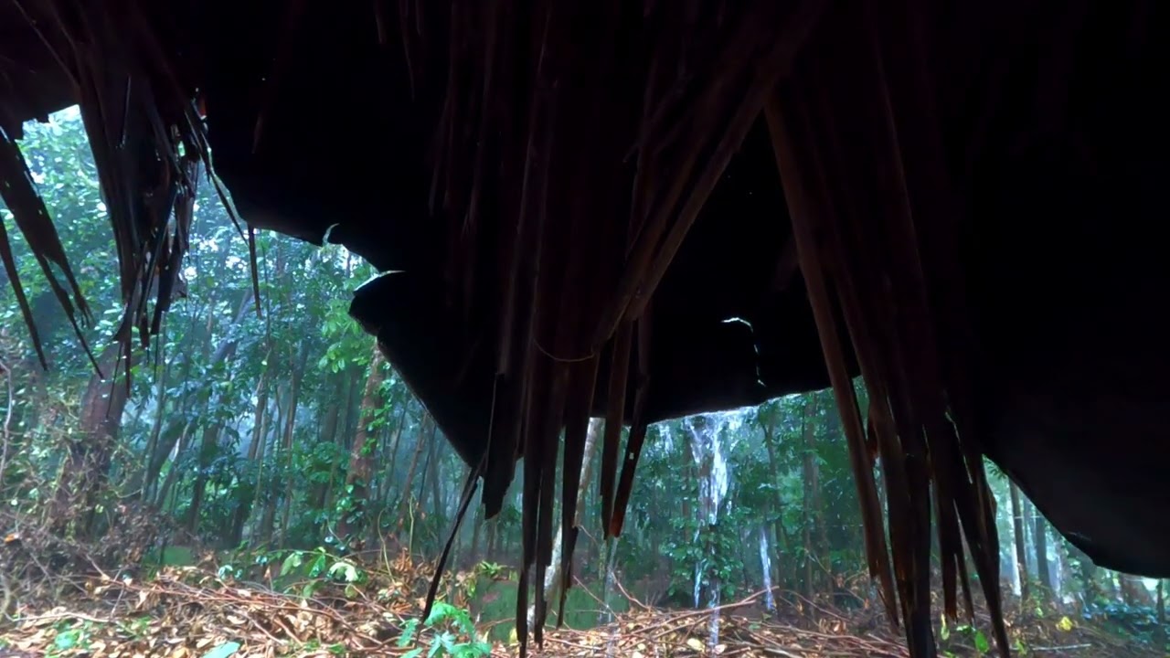 മഴ .