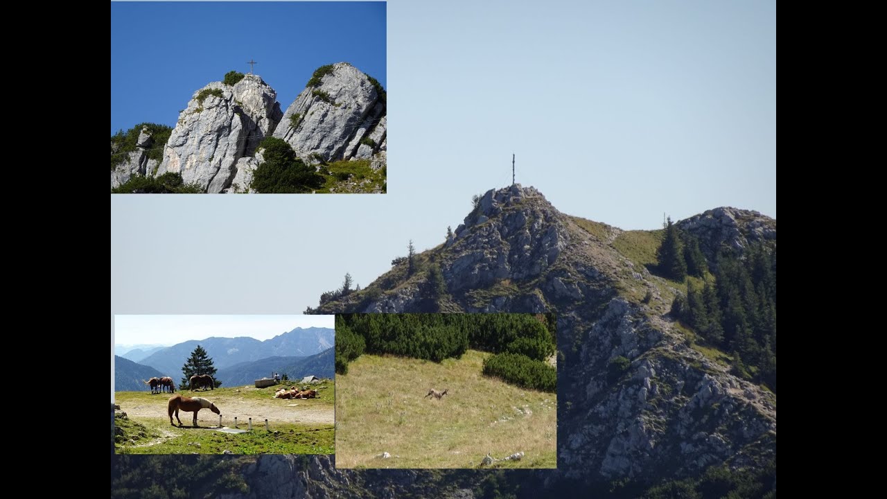 Lacherspitz und Wildalpjoch
