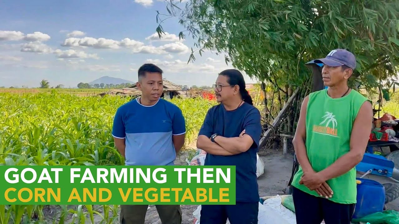 From Goat to Corn Farming for Silage Production, Now Expanding to Vegetables!