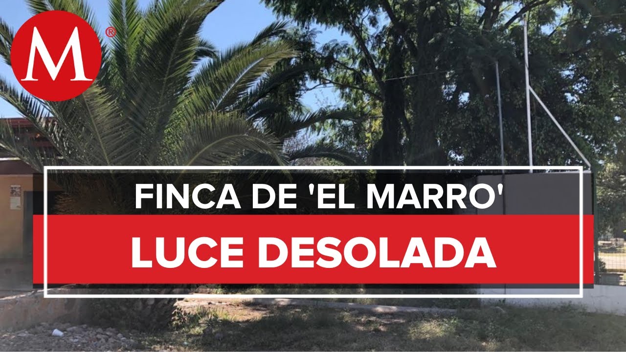 Olvidada y 