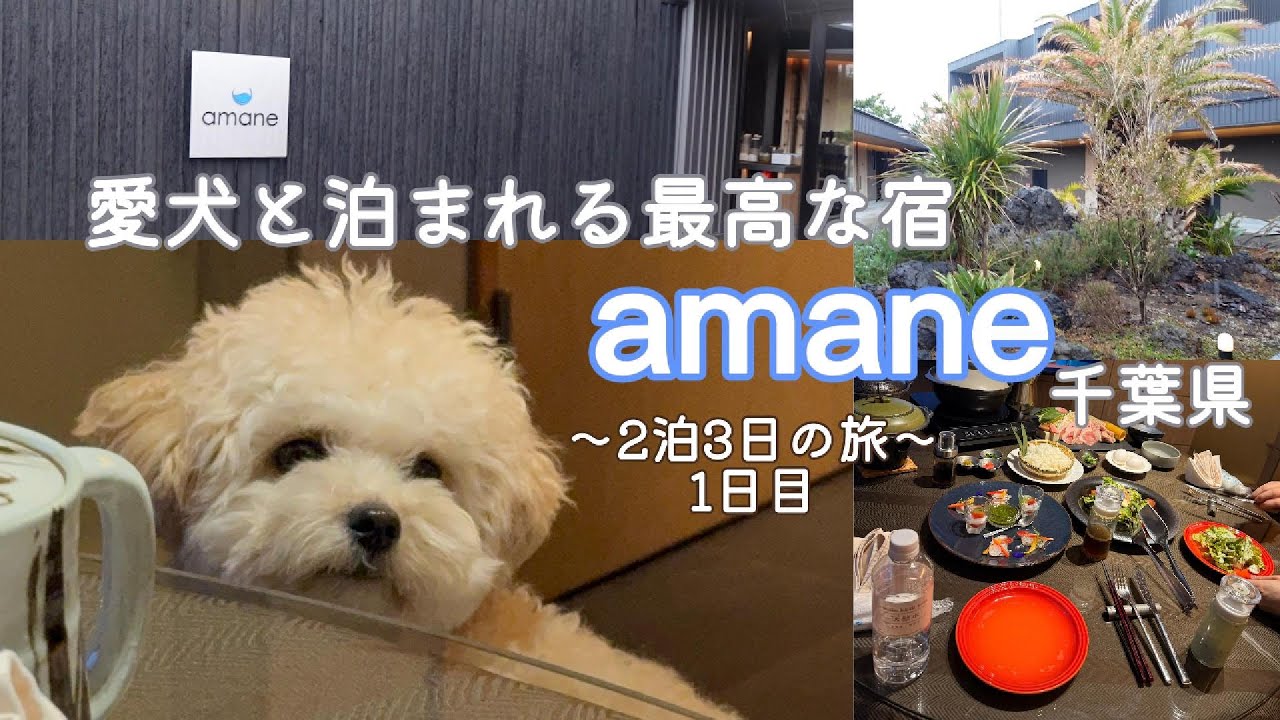 【愛犬と泊まれる宿