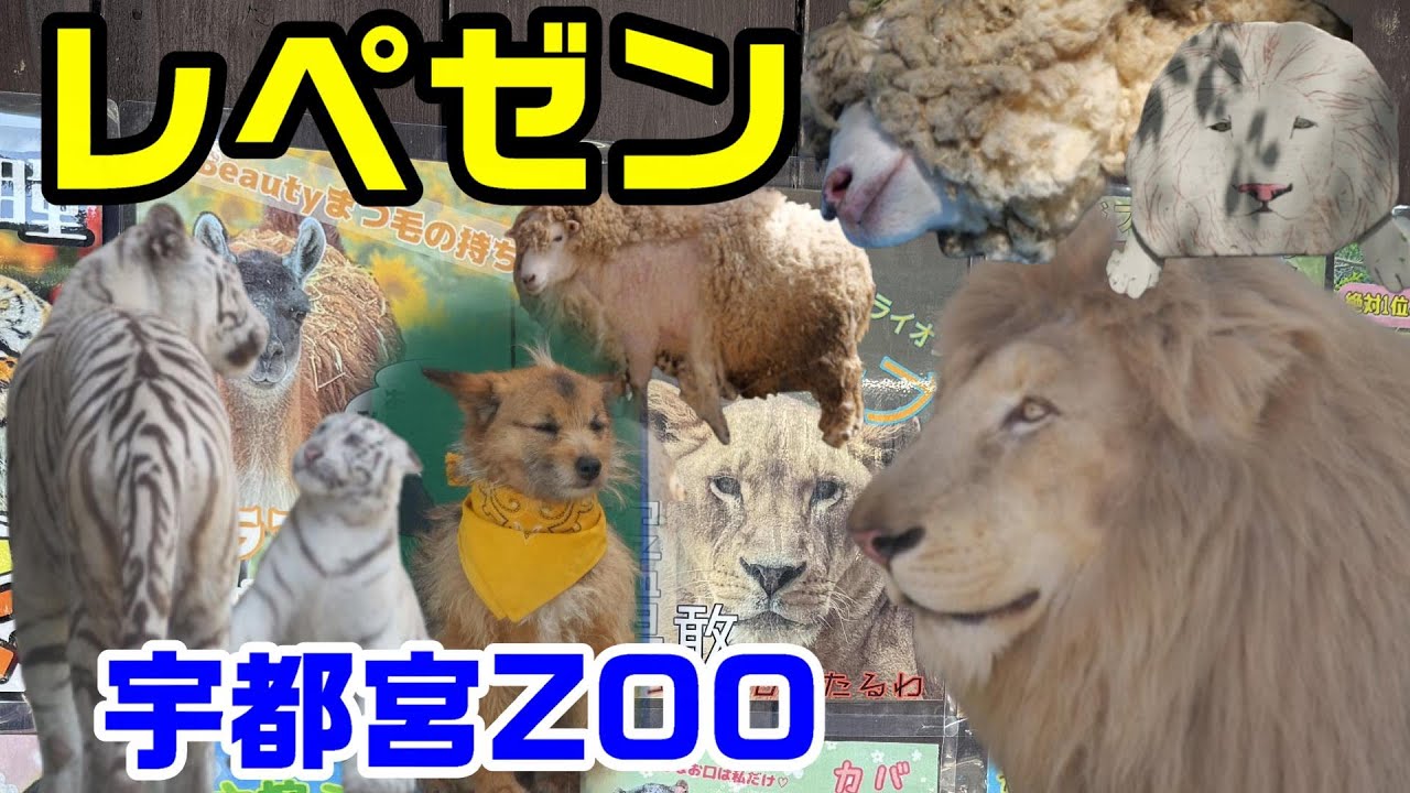 レペゼン宇都宮ZOO🦁🐯🐶🐑宇都宮動物園の愉快な仲間たち