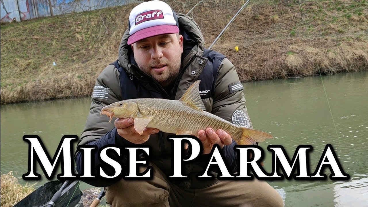 MISE PARMA - ŘEKA, FEEDER A ZIMA
