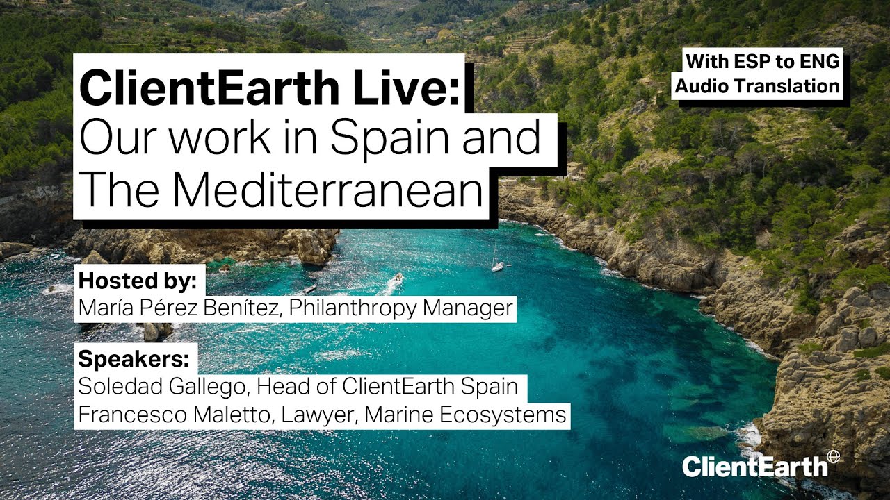 ClientEarth Live: Our work in Spain and The Mediterranean. Spanish to English Audio Translation.