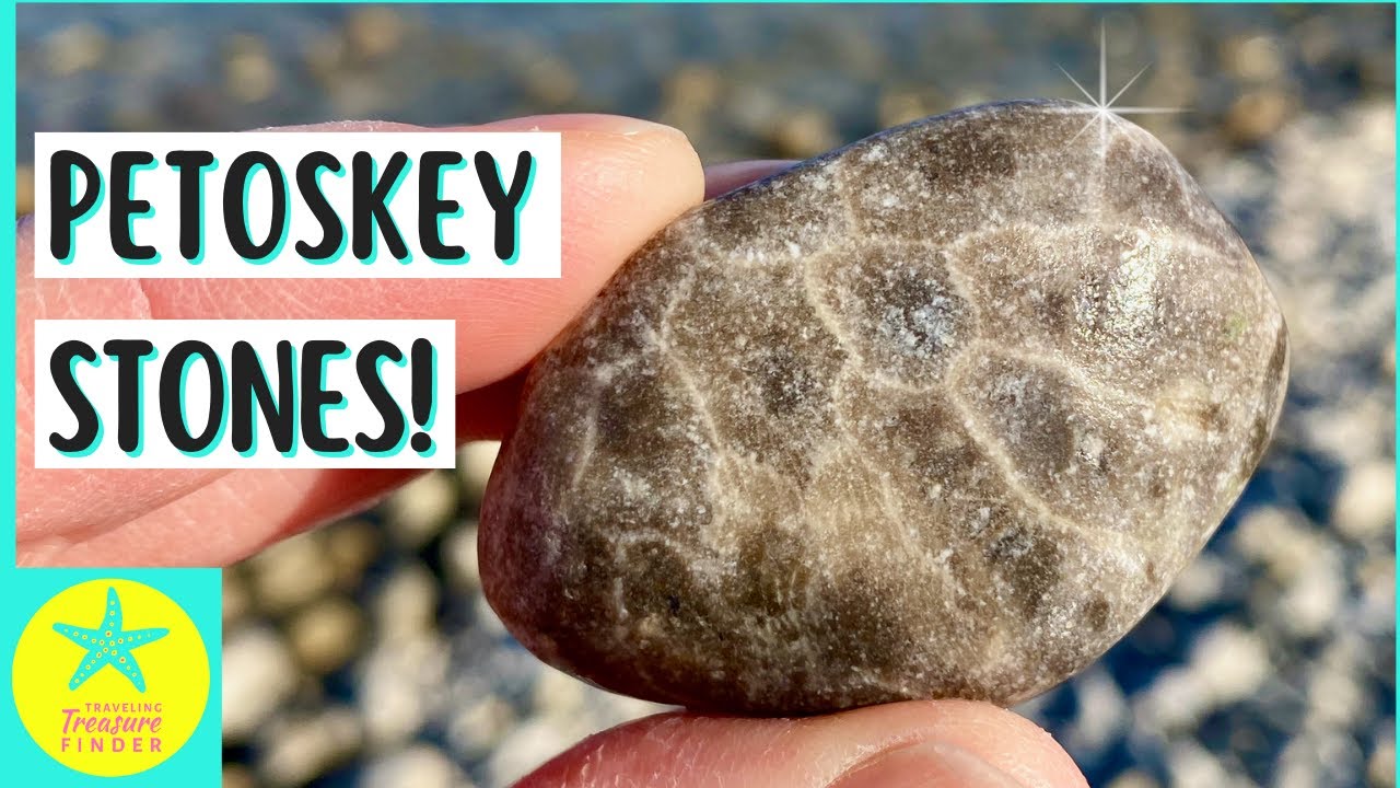 Rock and Beach Glass Hunting in Michigan | So many Petoskey Stones!