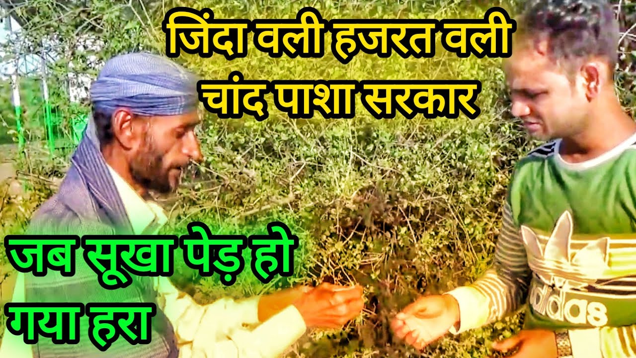 Zinda wali Hazrat wali chaand pasha ibadat gah | Baithak | Awati Sharif | Dargah vlogs