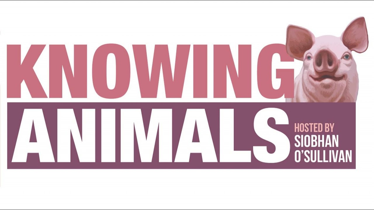 Episode 182: Multispecies Love and Grief with Danielle Celermajer