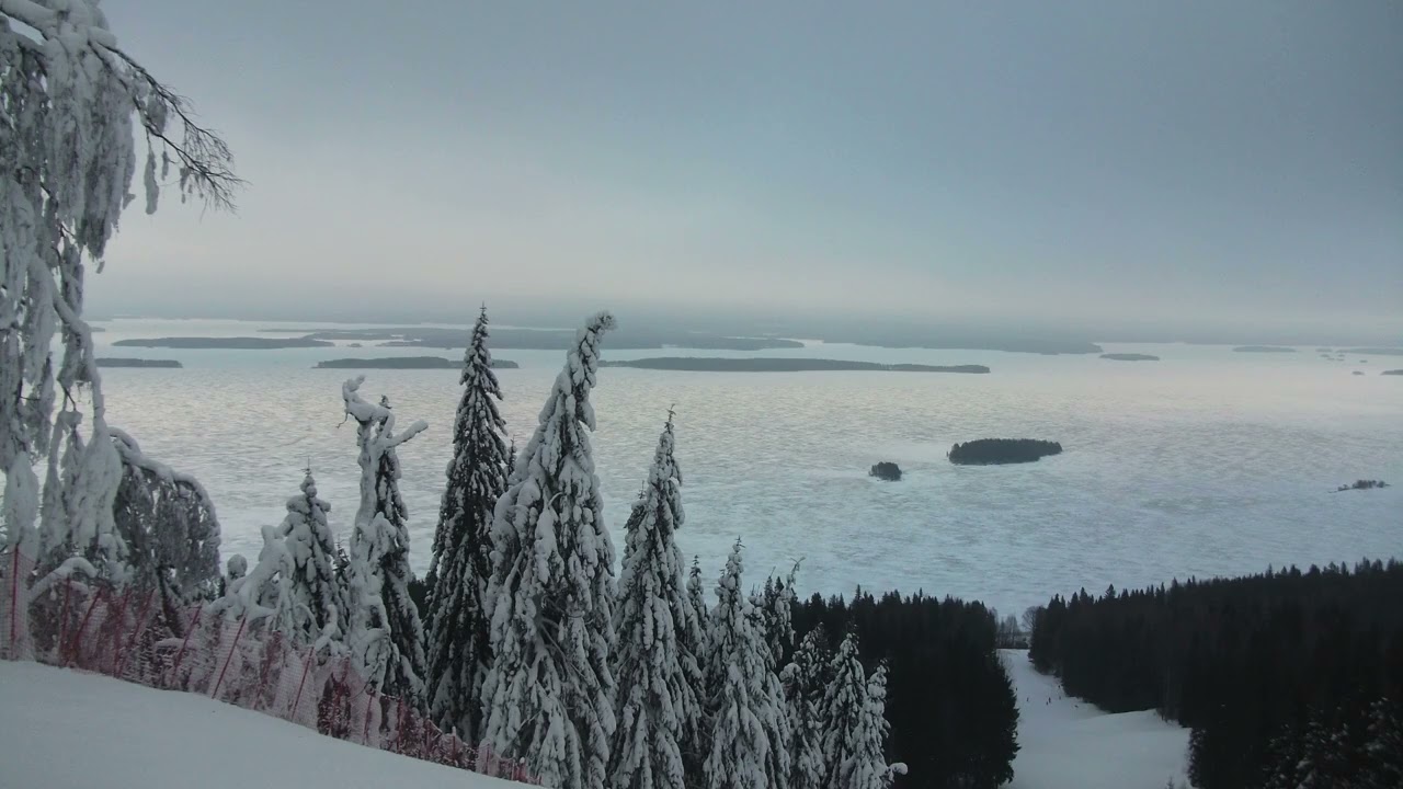 Eastern Finland Winter Ambience I Joensuu & Koli National Park I Relaxing Nordic Snow Scenery