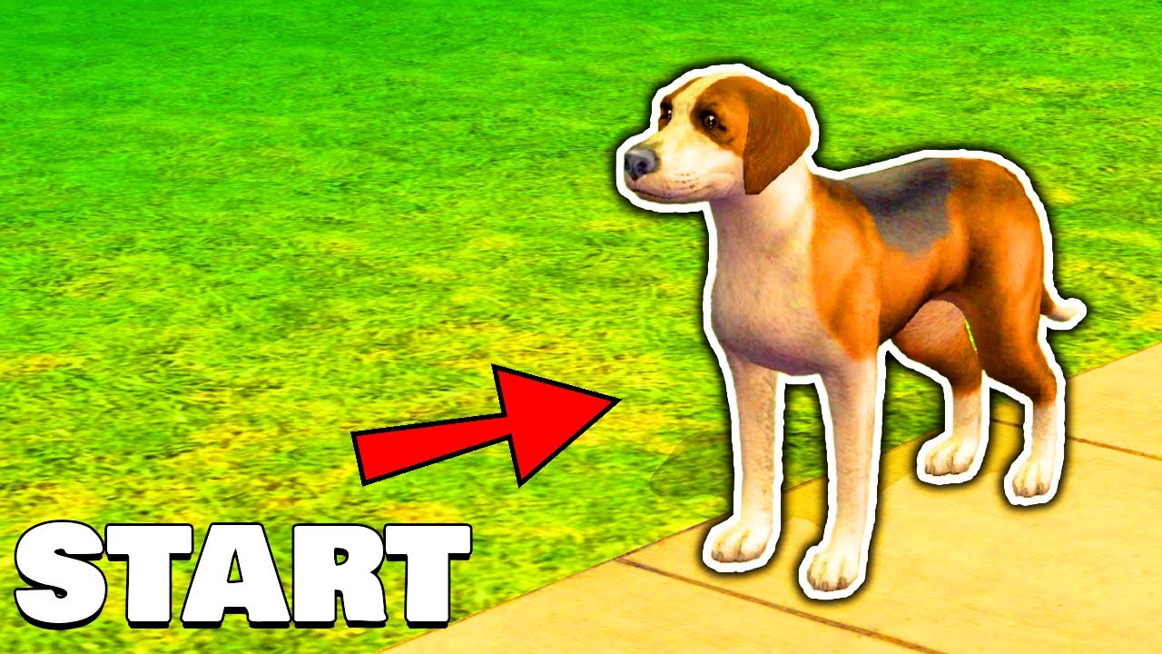 The Sims 2, 1 Dog Start...