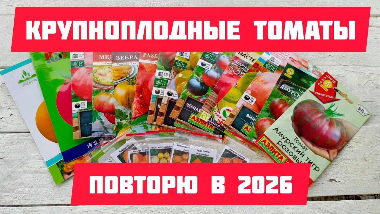 Повторю эти крупноплодные томаты в сезоне 2026