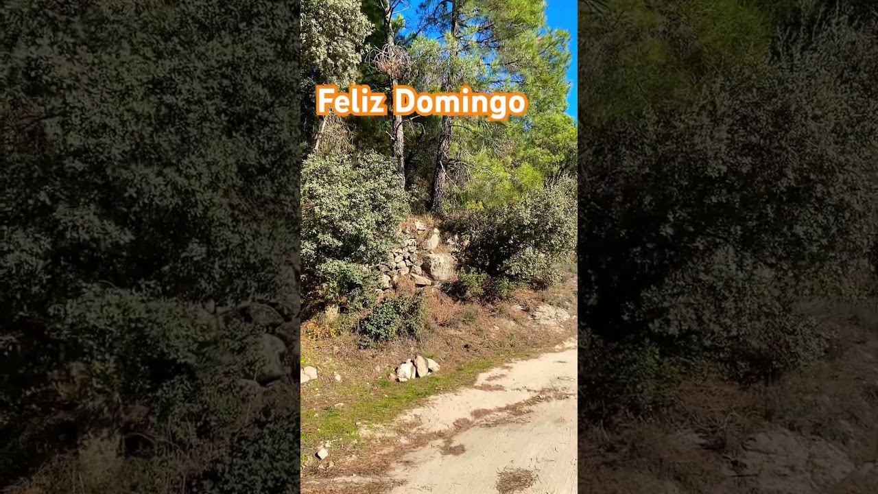 Vivir en el Valle del Tietar